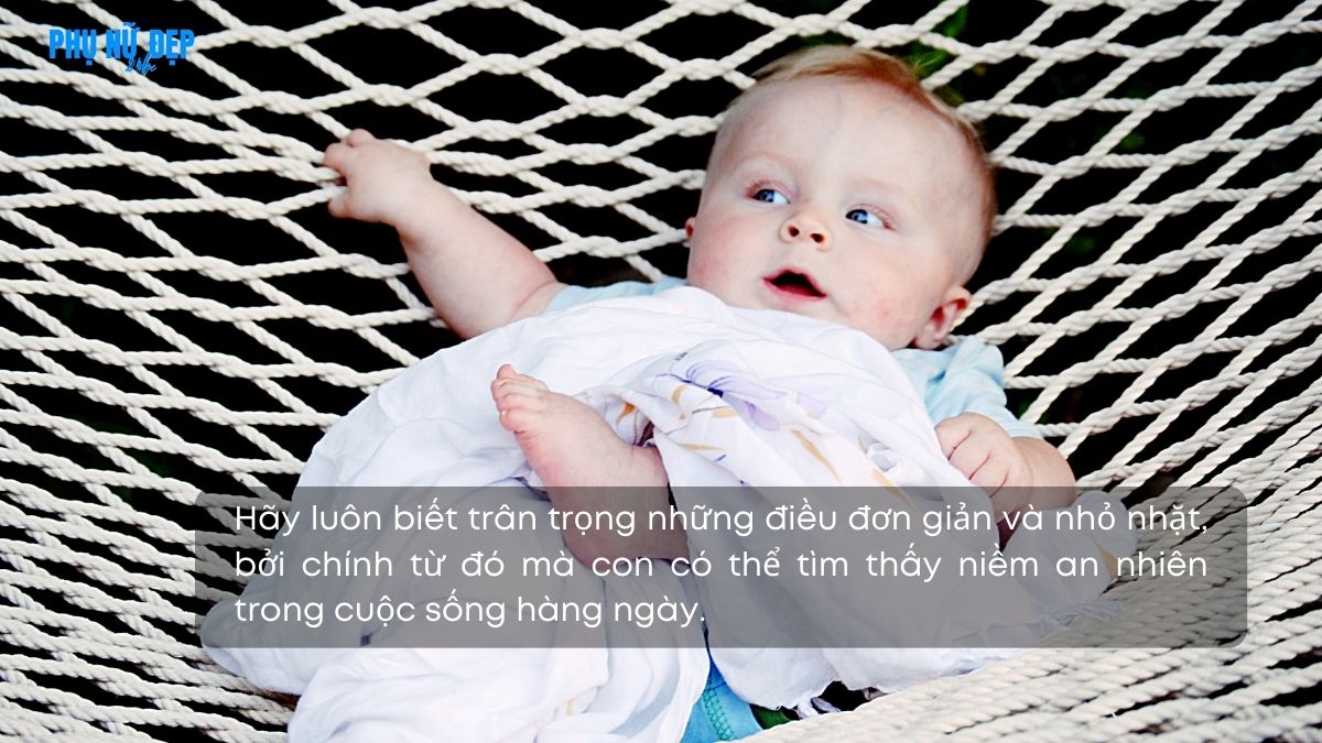Stt chúc con một đời an nhiên, không tham sân si với đời