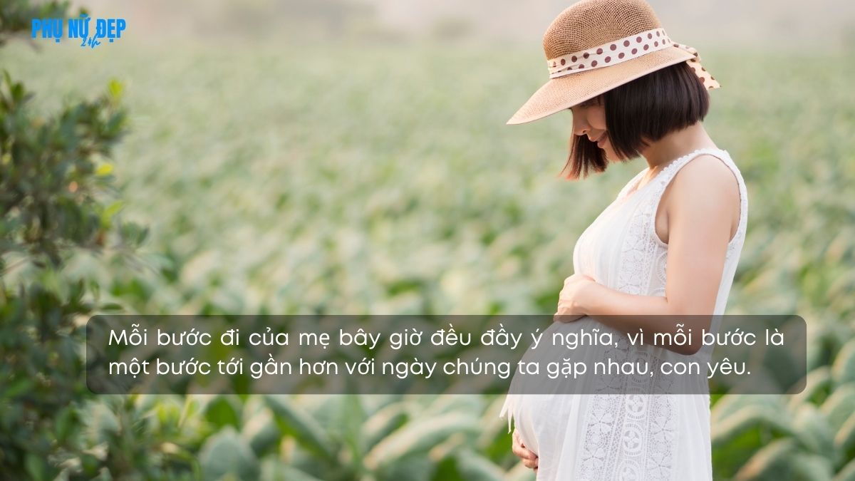 Stt thả thính cho mẹ bầu giúp bạn có 1000 like-tim-share